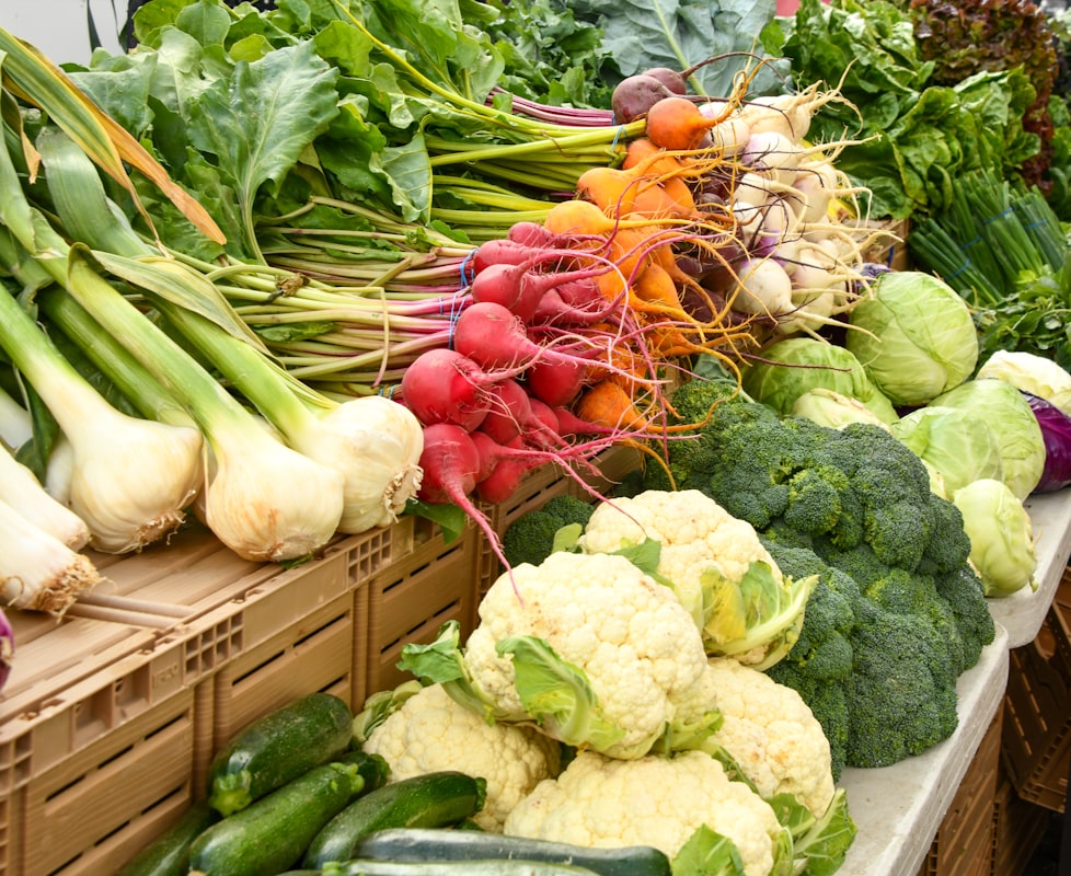 Productos vegetales frescos y coloridos para una dieta saludable
